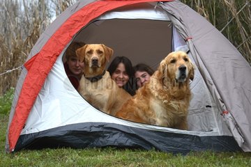 Young girls and dogs in a tent