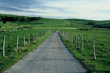 Road of Aubrac across the Lozère France