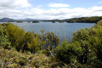 Small islands in a bay of Stewart island New Zealand