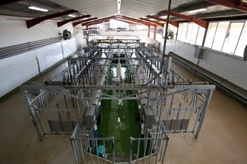 Melken Kühe leere Ventosilla Farm Spanien