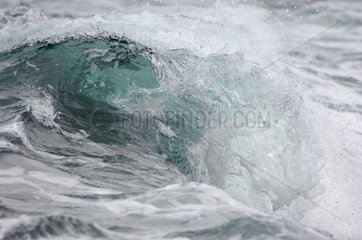 Wave Dritvik Iceland