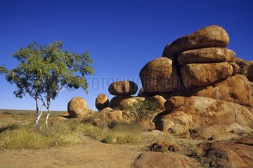 Die Murmeln des Teufels im australischen Outback NT Australia