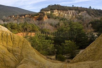 Ochre cliff in Rustrel Vaucluse France