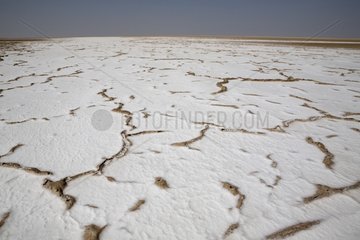 Rind salt on a sebka Sultanate of Oman