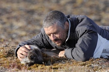 Man fondling a arctic fox cub condemned Canada