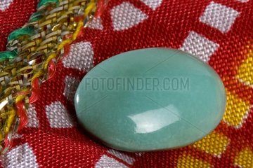 Turquoise polished in cabochon on fabric India