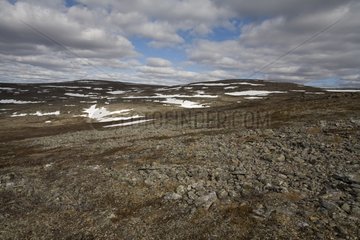 Arctic Tundra Stekkenjok Nacken im schwedischen Lappland
