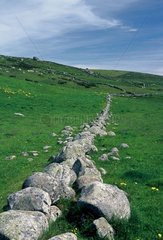 Low wall between two fields of the plateau of Aubrac France
