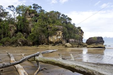 Küstenklippe im Bako -Nationalpark in Borneo