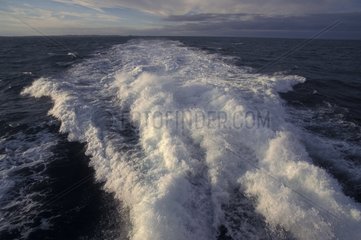 Wasserbewegungen auf offenem Meer  das durch ein Boot verursacht wird