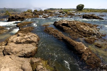 Zambezi river upstream of Victoria falls Zambia