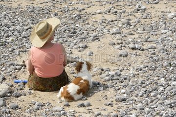 Brittany Spaniel und Frau am Strand von Criel Sur Mer France