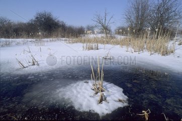 Gefrorener Teich im Winter Frankreich