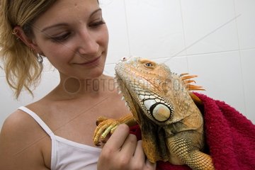Owner drying her Red Iguana after the bath