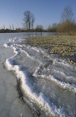 Zone naturelle de l'Allan prise dans la glace par vent fort