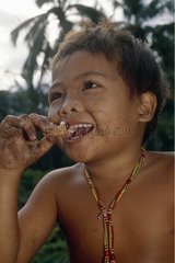 Mentawai child eating a larva of coleopter Siberut Sumatra
