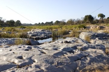 Rocky bed of a dry river NP Kruger South Africa