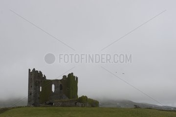 Ballycarbery Castle Ruinen im Nebel Irland