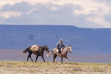 Gaucho à cheval dans la pampa Patagonie Argentine