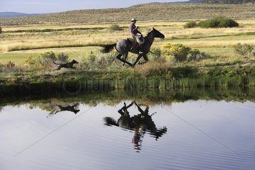 Cow-boy with horse followed by a dog and the reflection in water