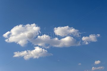Blue sky dotted with white clouds Africa