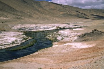 Heiße Quellen zwischen Tsomoriri und Tsokar Ladakh