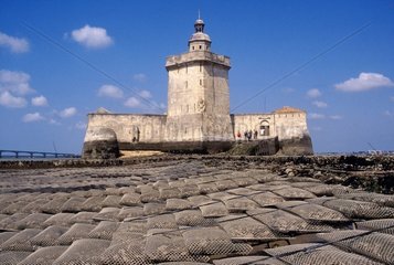 Charente-Maritime (17)