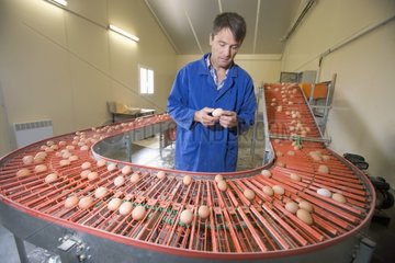 Geflügelbauern konditionieren Eier Frankreich