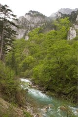 Paysage du Parc National de Sutjeska en Bosnie