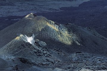 Recent craters on the Piton de la Fournaise The Reunion