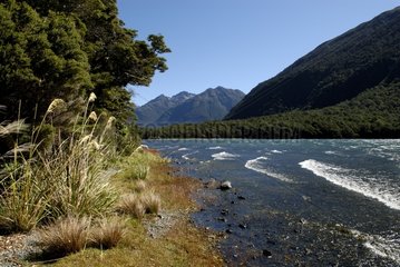 Gunn lakeside Fiordland National Park New Zealand
