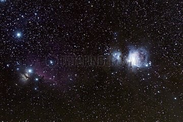 Mehrere Nebel in der Orion -Konstellation