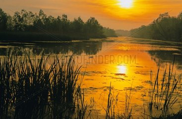 Lever de soleil sur le lac Elm Parc de Brazos Bend Texas