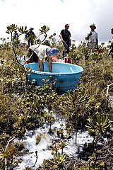 Freiwillig mit Robbenpumpe in Neukaledonien