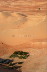 Oasis in the desert United Arab Emirates