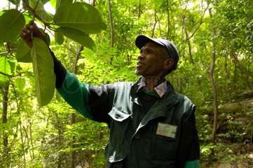 Visiting a forest for sustainable development Madagascar