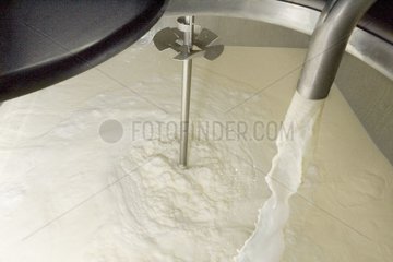 Arrivée du lait dans le tank à lait pendant la traite
