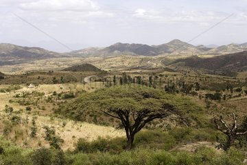 Arid landscape of the Area of Key Afer in the south of Ethiopia
