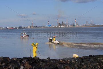 Cleaning of oil pollution of banks of Loire river estuary