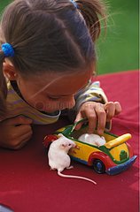 Fillette jouant avec une souris blanche