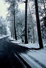 Road crossing a snow-covered forest Auvergne France