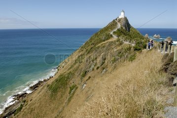 Lighthouse on Nugget Point promontory New Zealand