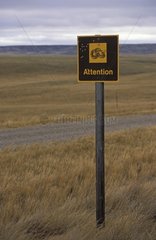 Panel prevention against rattlesnakes and traces of bullet