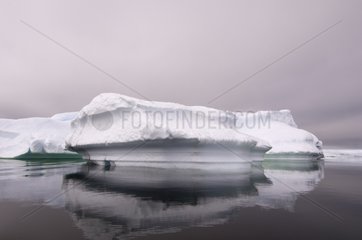 Iceberg in the Gerlache Strait Antarctic Peninsula
