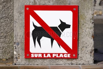 Sign prohibiting access to the dogs on the beach