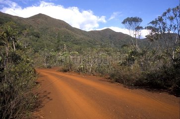 Track  die durch die Maquis New Caledonia läuft