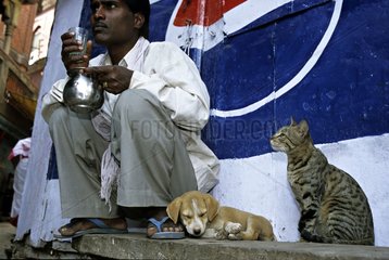 Cat sitting near a man and a puppy dog India