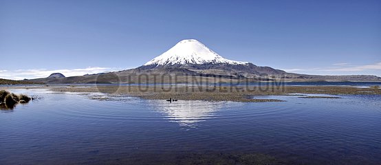 Chungara Lake at the foot of Parinacota volcano Chile