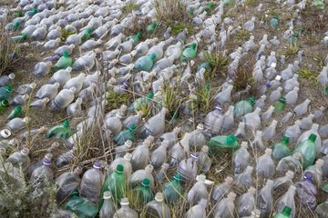 Multitude of abandoned plastic bottles Chile