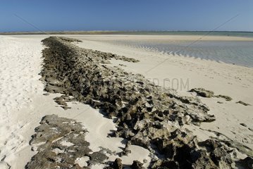 Coral rock barrier on the beach sand